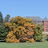 Beautiful Fall day on the ISU campus